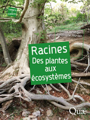Racines : des plantes aux écosystèmes