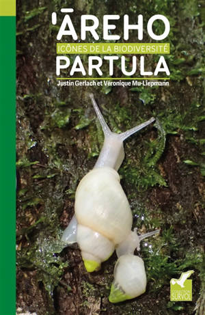 'Areho partula : icônes de la biodiversité