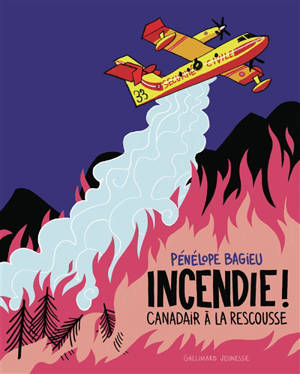 Incendie ! Canadair à la rescousse