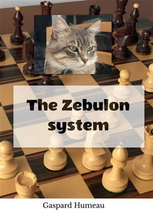 The Zebulon system