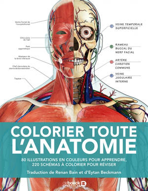 Colorier toute l'anatomie : 80 illustrations en couleurs pour apprendre, 220 schémas à colorier pour réviser