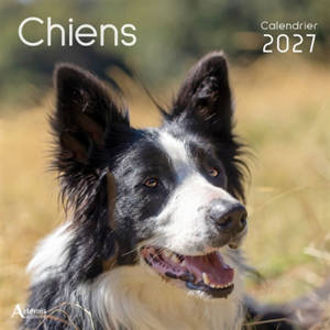 Chiens : calendrier 2027