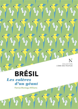 Brésil : les colères d'un géant