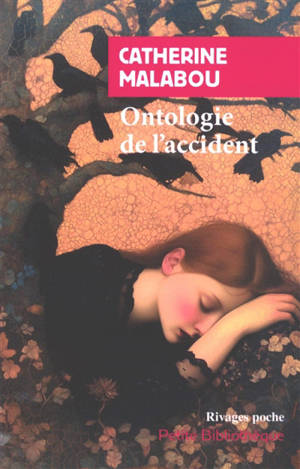 Ontologie de l'accident : essai sur la plasticité destructrice