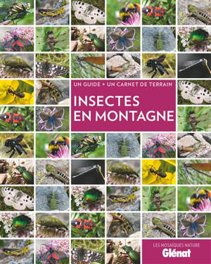 Insectes en montagne