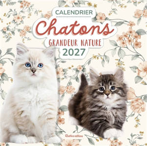 Chatons grandeur nature : calendrier 2027