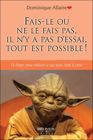 Fais-le ou ne le fais pas, il n’y a pas d’essai, tout est possible ! : 13 étapes pour réaliser ce qui nous tient à coeur