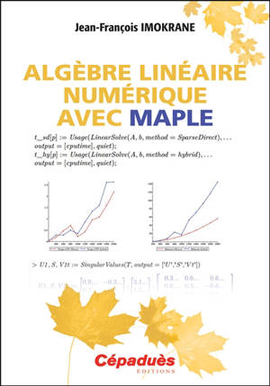 Algèbre linéaire numérique avec Maple