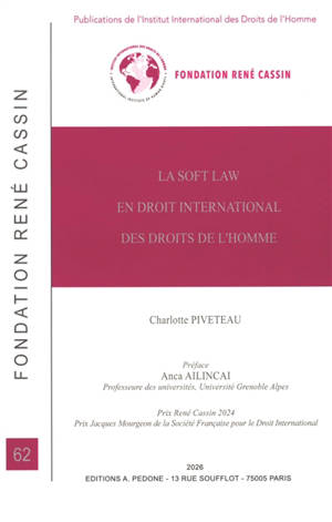 La soft law en droit international des droits de l'homme