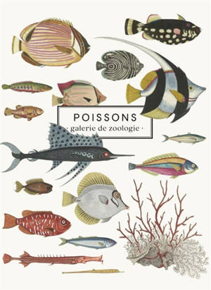 Poissons : galerie de zoologie