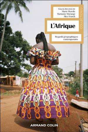 L'Afrique : regards géographiques contemporains