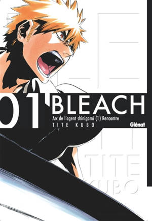 Bleach. Vol. 1. The death and the strawberry