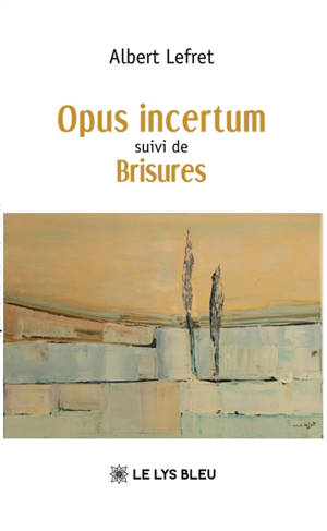 Opus incertum suivi de Brisures