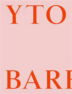 Yto Barrada : color problems