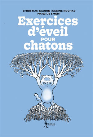 Exercices d'éveil pour chatons