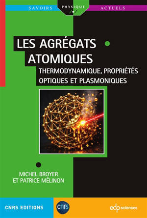 Les agrégats. Vol. 2. Thermodynamique, propriétés optiques et plasmoniques