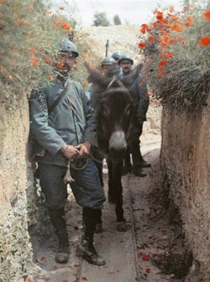 Plaques sensibles : autochromes de la Grande Guerre