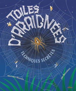 Toiles d'araignées : techniques secrètes