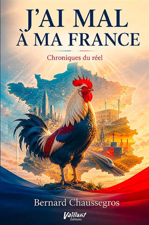 J'ai mal à ma France : chroniques du réel. Vol. 2