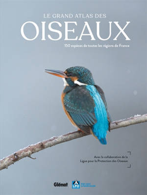 Le grand atlas des oiseaux : 150 espèces de toutes les régions de France