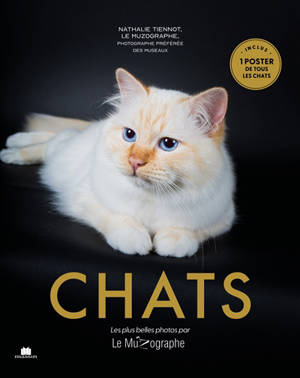 Chats : les plus belles photos par Le Muzographe