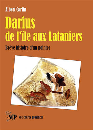 Darius de l’île aux Lataniers : Brève histoire d’un pointer