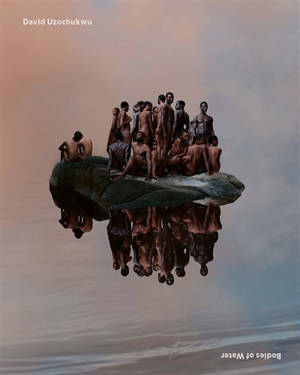 David Uzochukwu : bodies of water