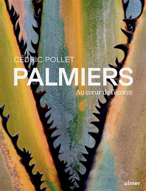 Palmiers : au coeur de l'écorce