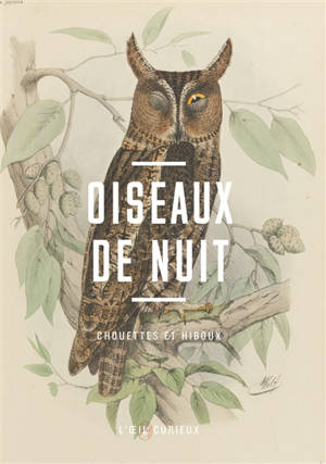 Oiseaux de nuit : chouettes et hiboux