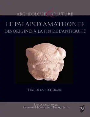 Le palais d'Amathonte des origines à la fin de l'Antiquité