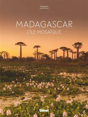 Madagascar : l'île mosaïque