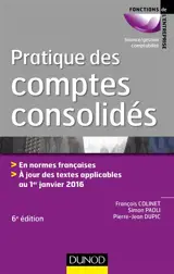Pratique des comptes consolidés : en normes françaises