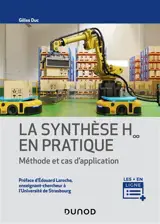 La synthèse H-infini en pratique : méthode et cas d'application