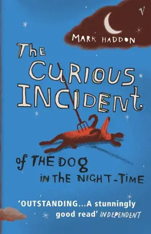 The Curious Incident of the Dog in the Night-Time : Night time