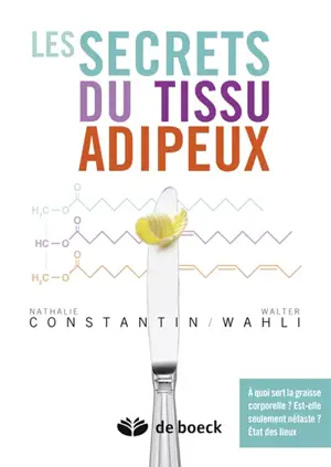 Les secrets du tissu adipeux : A quoi sert la graisse corporelle ? Est-elle seulement néfaste ? État des lieux