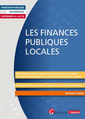 Les finances publiques locales : une explication claire et illustrée des grands principes des finances, une présentation pédagogique du cadre budgétaire (schémas, tableaux), l'essentiel pour réussir les concours et renforcer les compétences professio