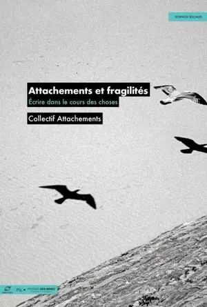 Attachements et fragilité : écrire dans le cours des choses