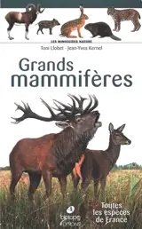 Grands mammifères : toutes les espèces de France