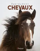 Eperdument chevaux