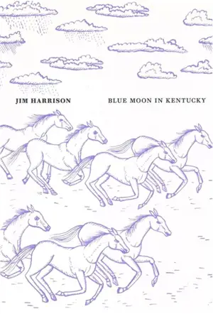 Blue moon in Kentucky