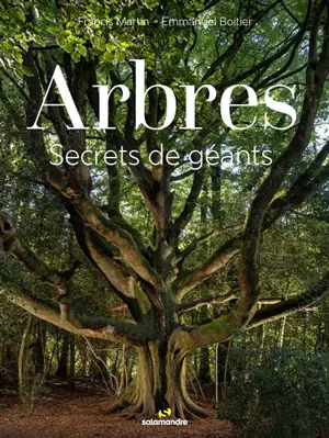 Arbres : secrets de géants