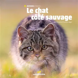 Le chat côté sauvage