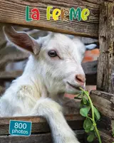 La ferme : 800 photos