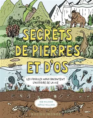 Secrets de pierres et d'os : les fossiles nous racontent l'histoire de la vie