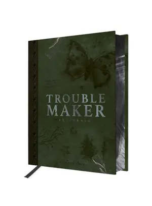 Troublemaker : intégrale