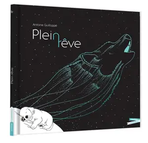 Plein rêve