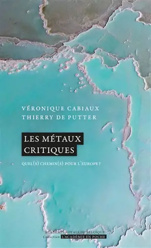 Les métaux critiques : quel(s) chemin(s) pour l'Europe ?