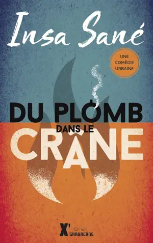 Du plomb dans le crâne