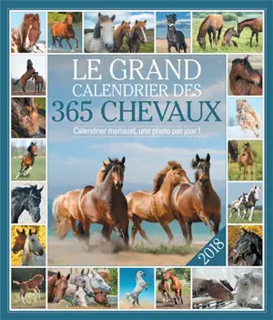 Le grand calendrier des 365 chevaux 2018 : calendrier mensuel, une photo par jour !