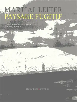 Paysage fugitif